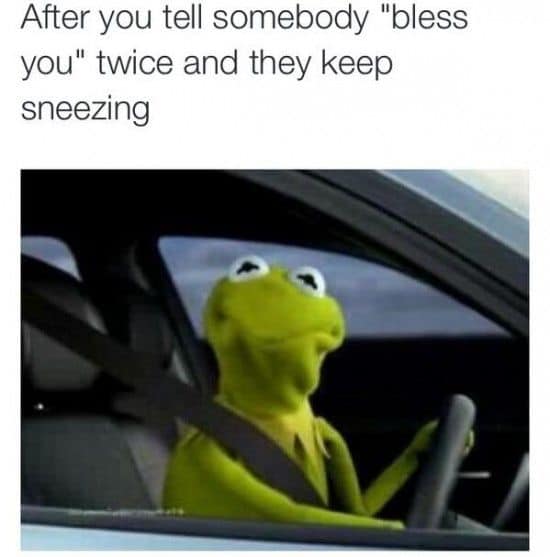 Kermit The Frog Memes That Are Insanely Hilarious Sayingimages 87420 Hot Sex Picture 