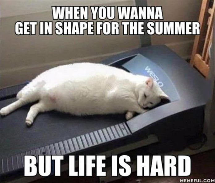 25 Hot And Hilarious Summer Body Meme SayingImages