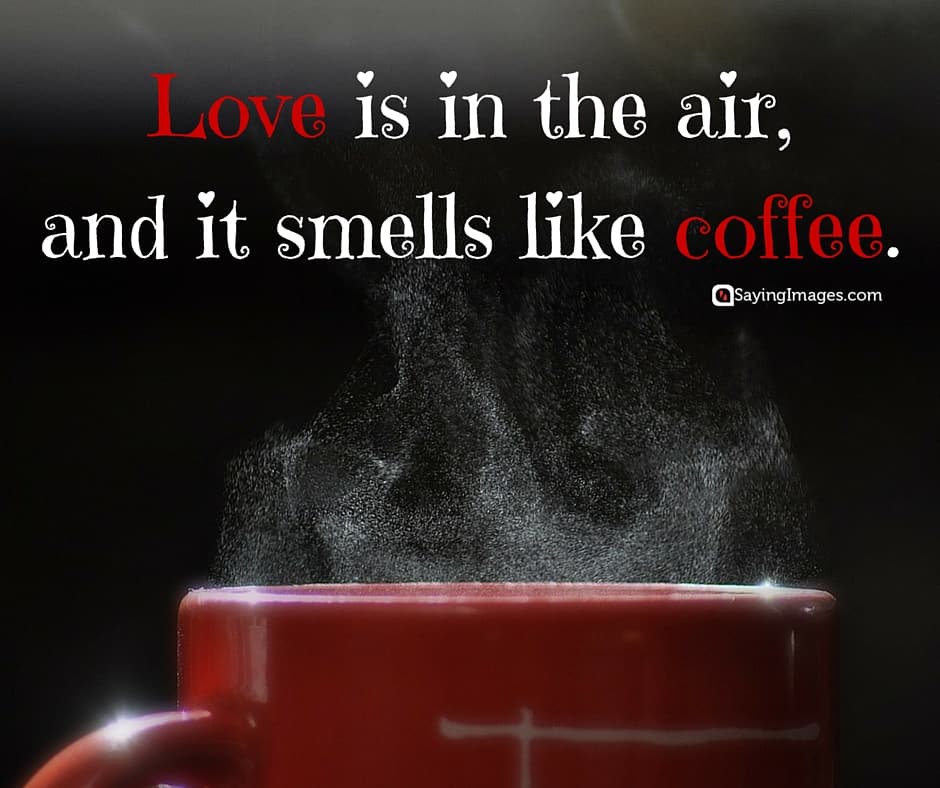 40 Funny Coffee Quotes and Sayings to Wake You Up  SayingImages.com