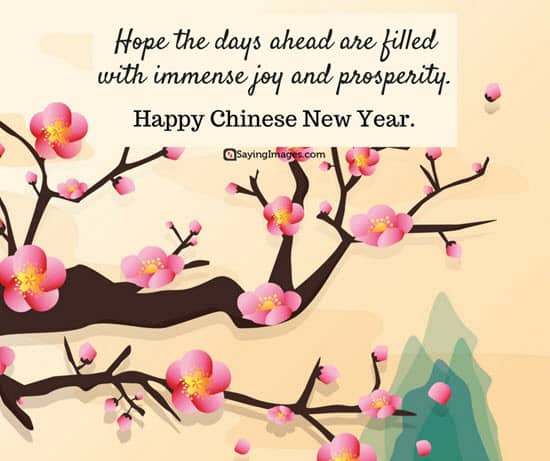 happy-chinese-new-year-quotes-wishes-images-greetings-cards