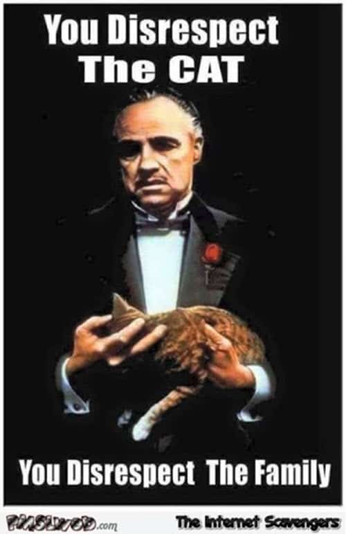 godfather disrespect the cat meme