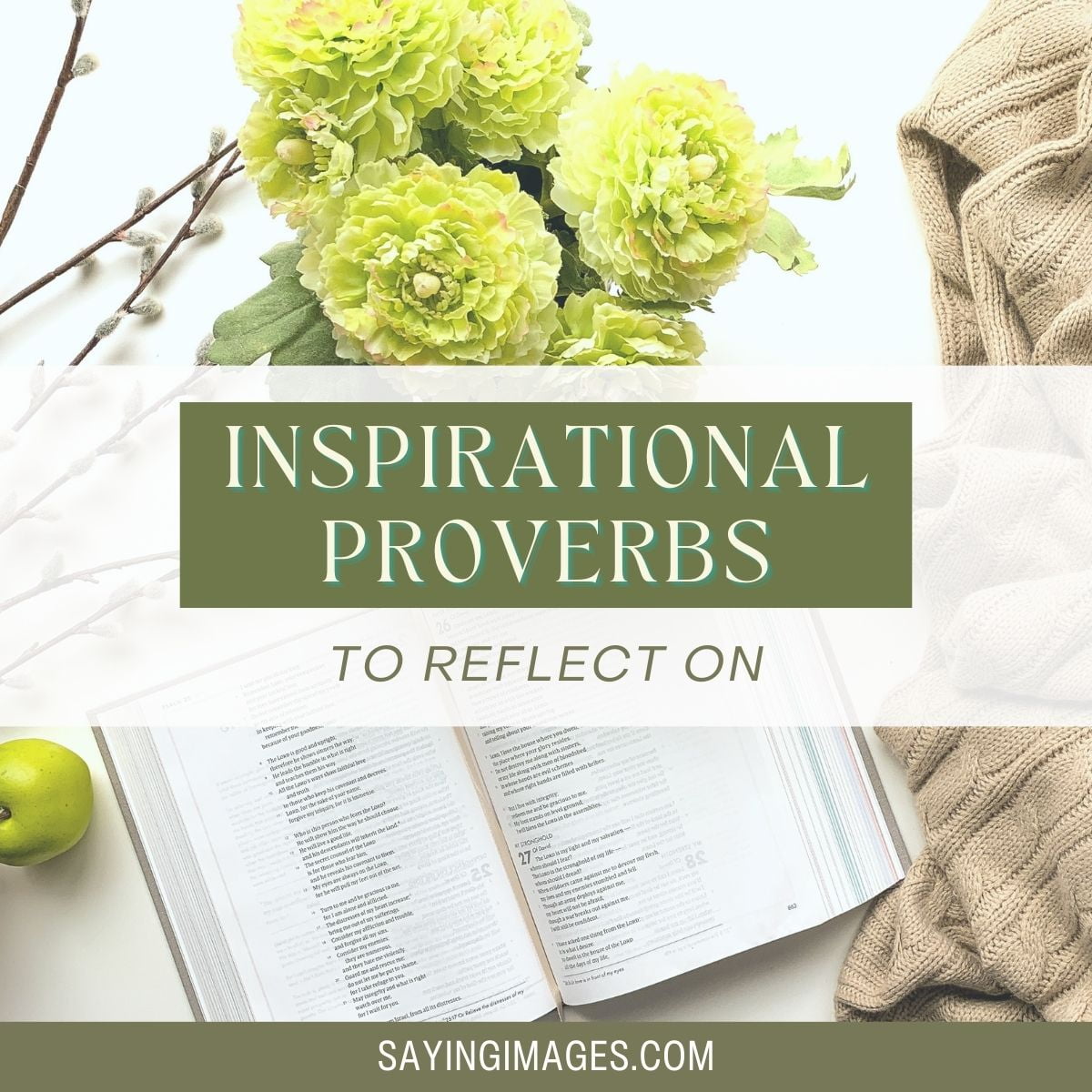 Inspirational and Enlightening Proverbs to Reflect On