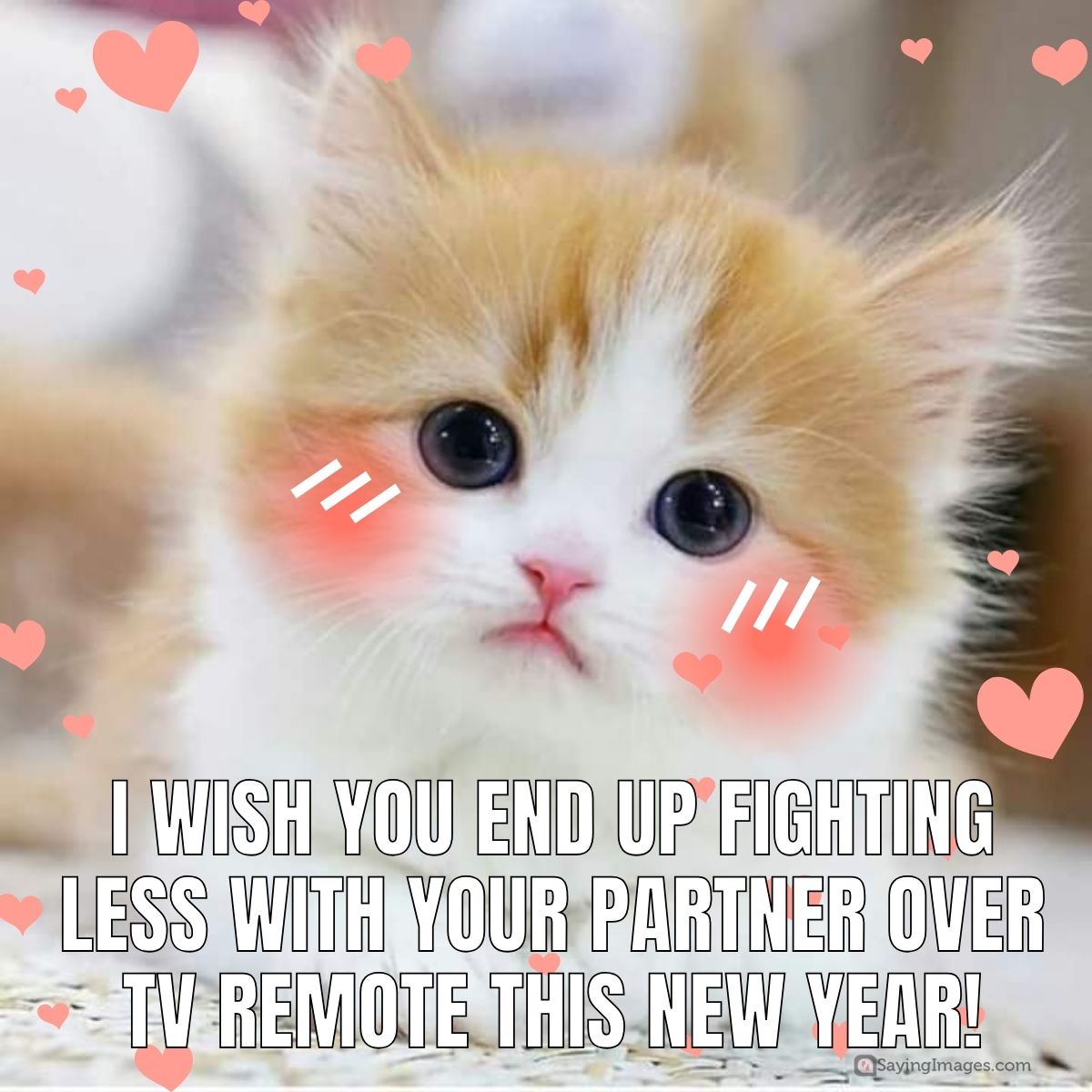 I wish you end up fighting less with your partner over TV remote this New Year!