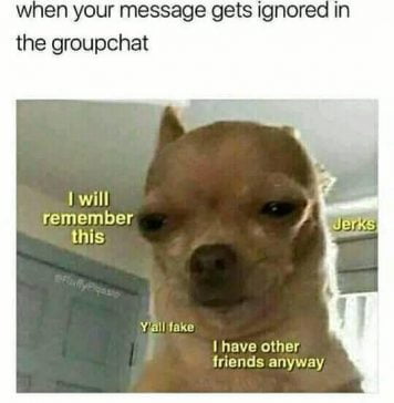 25 Hilarious Group Chat Memes You Ll Find Too Familiar SayingImages Com Group Chat Gets Ignored Meme 356x364