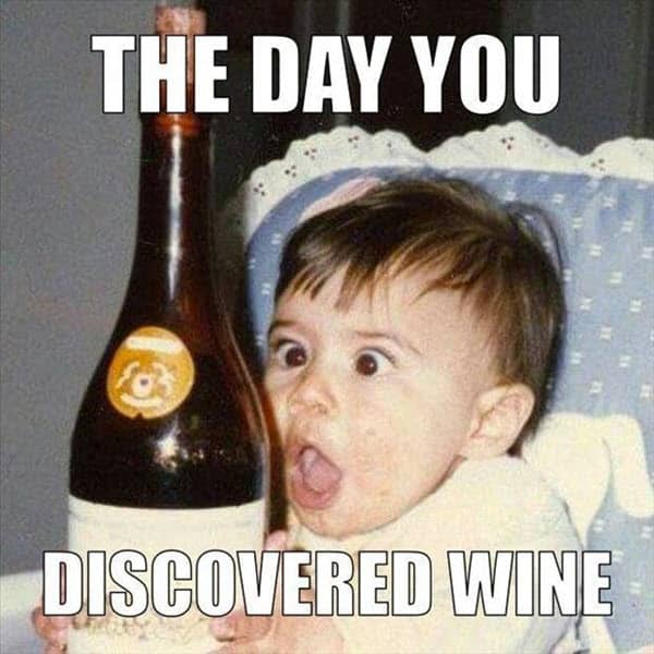 happy birthday wine discovered meme