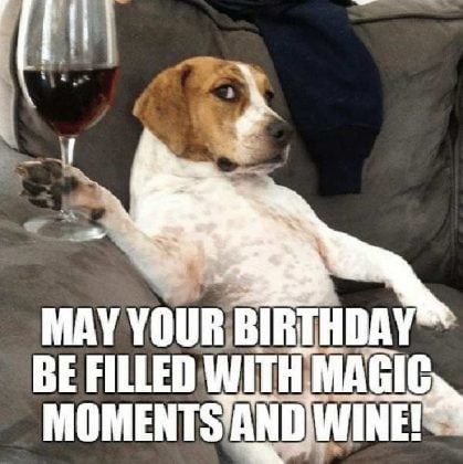 30 Happy Birthday Wine Memes To Help You Celebrate - SayingImages.com