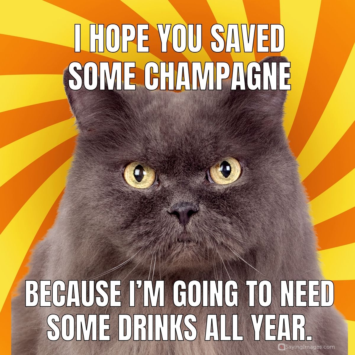 I  hope you saved some champagne