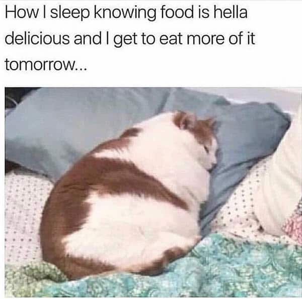 how i sleep knowing food meme