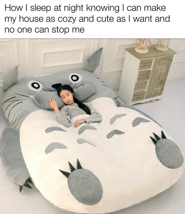 how i sleep knowing house cozy meme