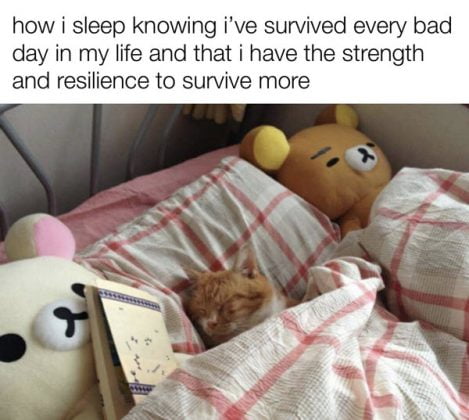 20 Soothing and Comforting How I Sleep Knowing Memes - SayingImages.com