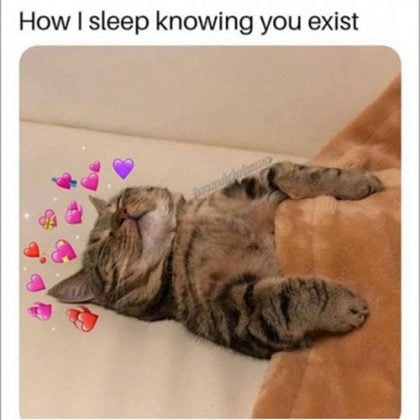 20 Soothing and Comforting How I Sleep Knowing Memes - SayingImages.com