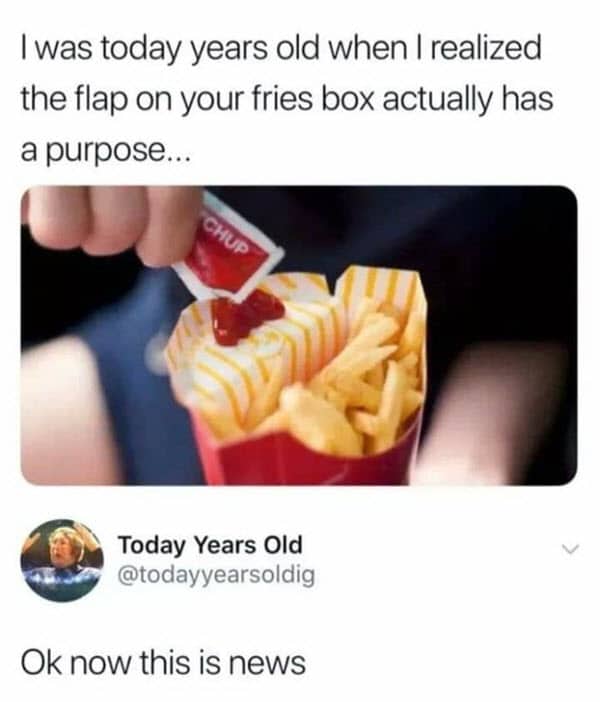 i was today years old fries box memes