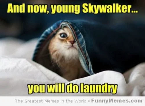 laundry young skywalker meme