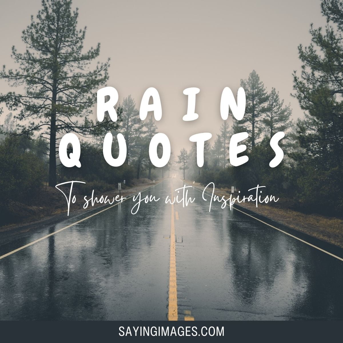 Rain Quotes