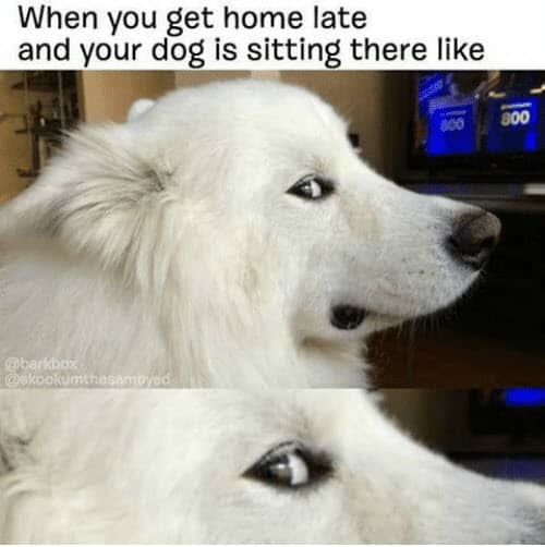 side eye get home late memes