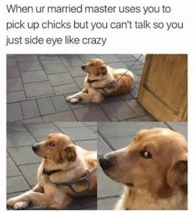 20 Useful Side Eye Memes - SayingImages.com