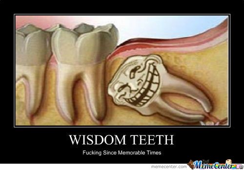 wisdom teeth memorable times meme