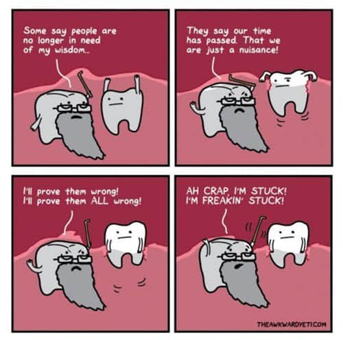 25 Wisdom Teeth Memes That Are Too Funny For Words Sayingimages Com