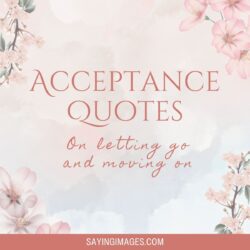 50 Acceptance Quotes on Letting Go and Moving On - SayingImages.com