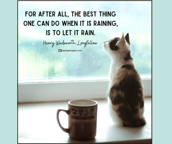 50 Acceptance Quotes on Letting Go and Moving On | SayingImages.com