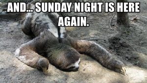 25 Memes About How We Feel On A Sunday Night - SayingImages.com