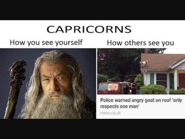 capricorn how you see yourself meme