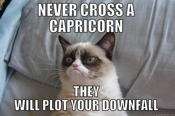 capricorn never cross meme