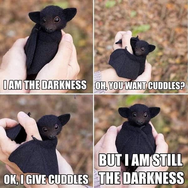 cuddle darkness meme