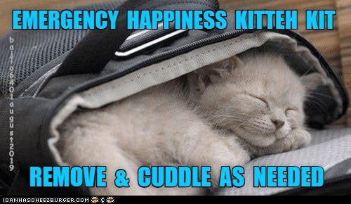 cuddle emergency happiness kit meme