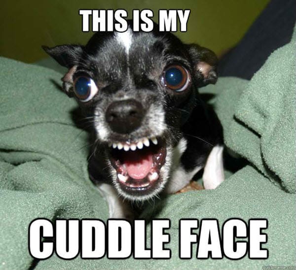 cuddle face meme