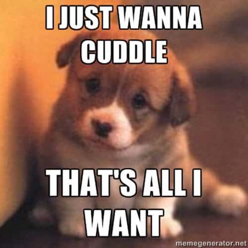 cuddle i just wanna meme