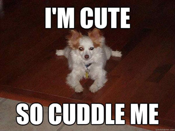 cuddle im cute mém