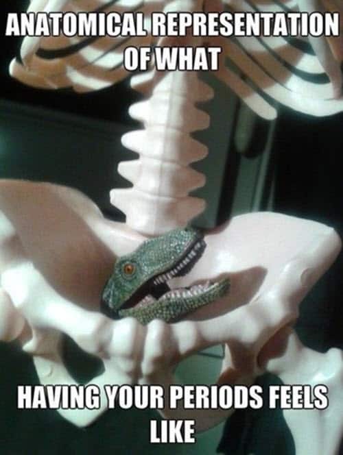 funny period anatomical presentation memes