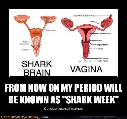 funny period shark brain memes