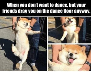 40 Happy Dance Memes That Will Put A Smile On Your Face - SayingImages.com