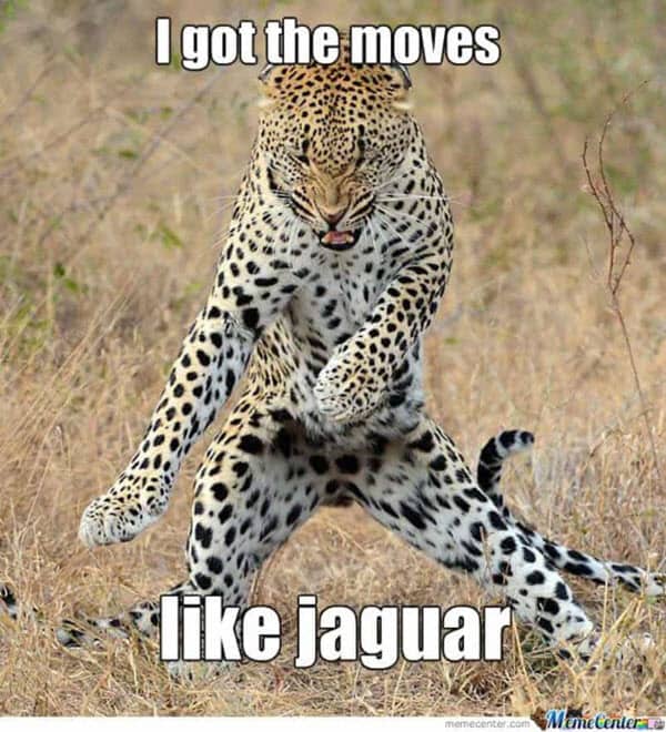 happy dance i got the moves meme