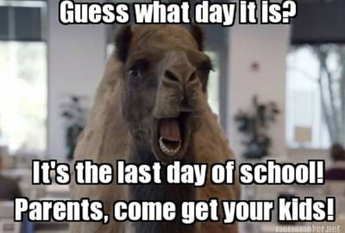 last day of school parents meme