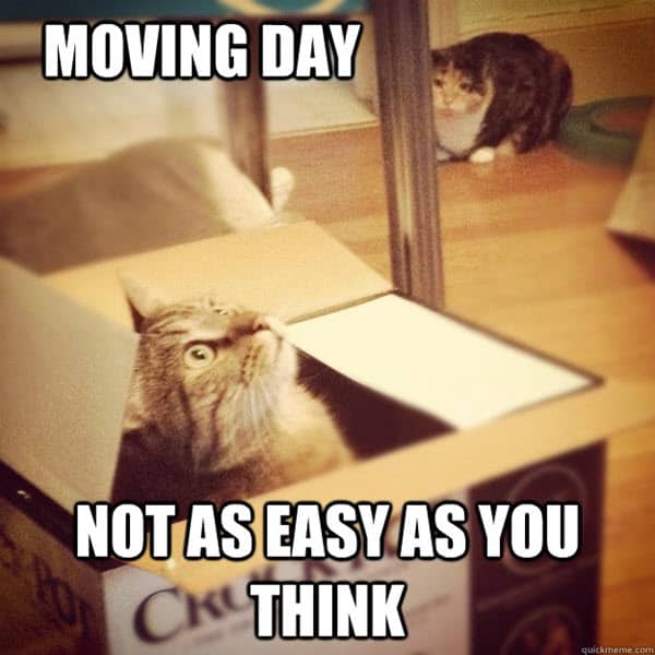 moving day meme