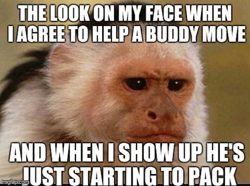 moving the look on my face meme
