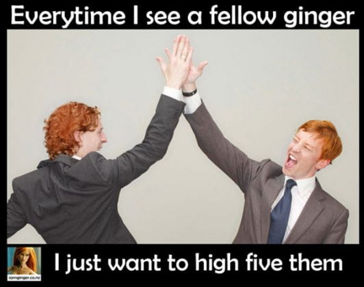 30 Ginger Memes That Are Way Too Witty 
