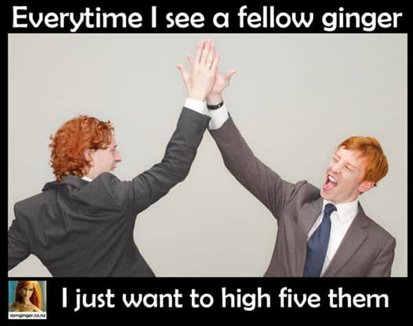 fellow ginger meme