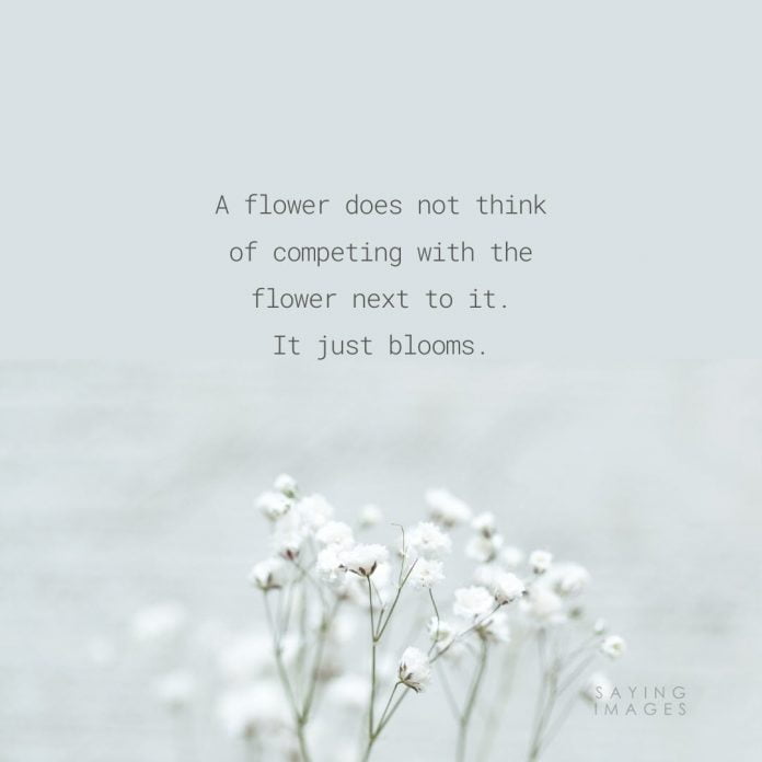 35 Beautiful Flower Quotes to Celebrate Life, Hope, and Love