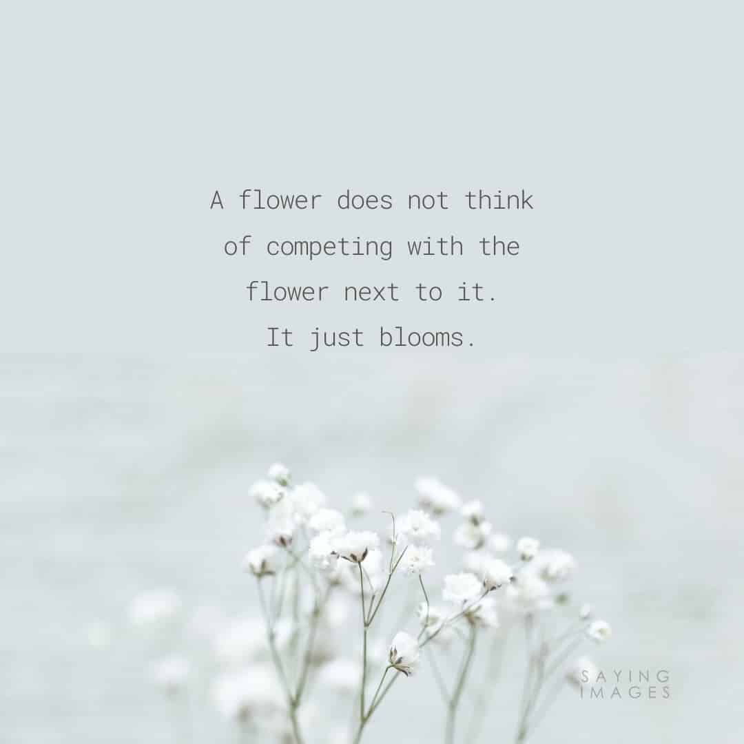 flower competing quotes