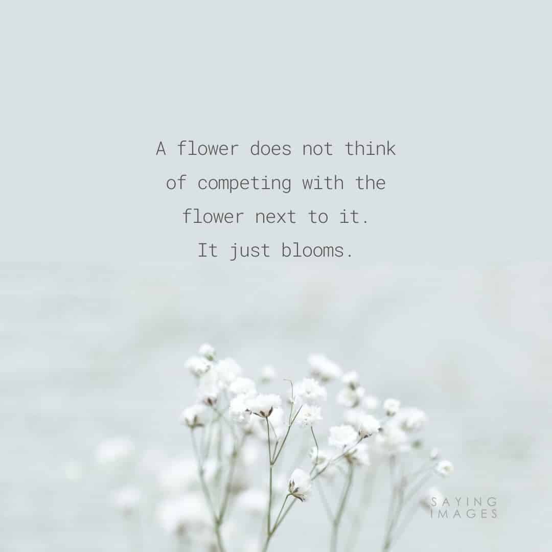 35 Beautiful Flower Quotes To Celebrate Life Hope And Love Sayingimages Com