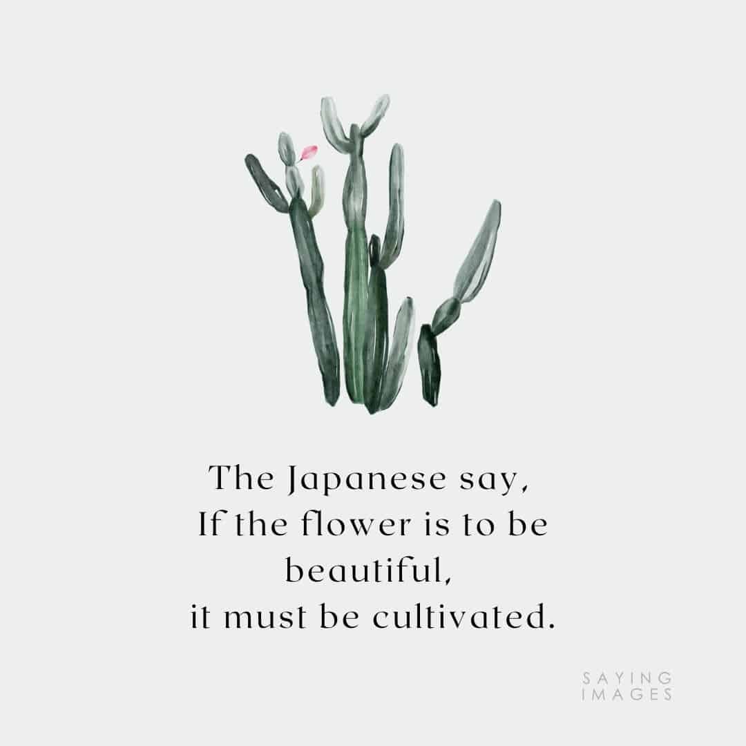 flower cultivated quotes