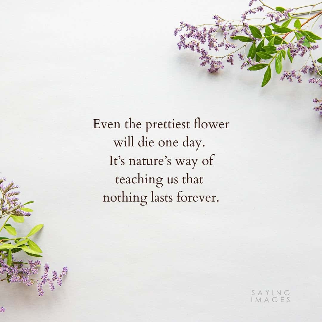 flower forever quotes