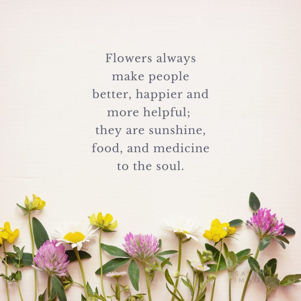 35 Beautiful Flower Quotes To Celebrate Life, Hope, And Love