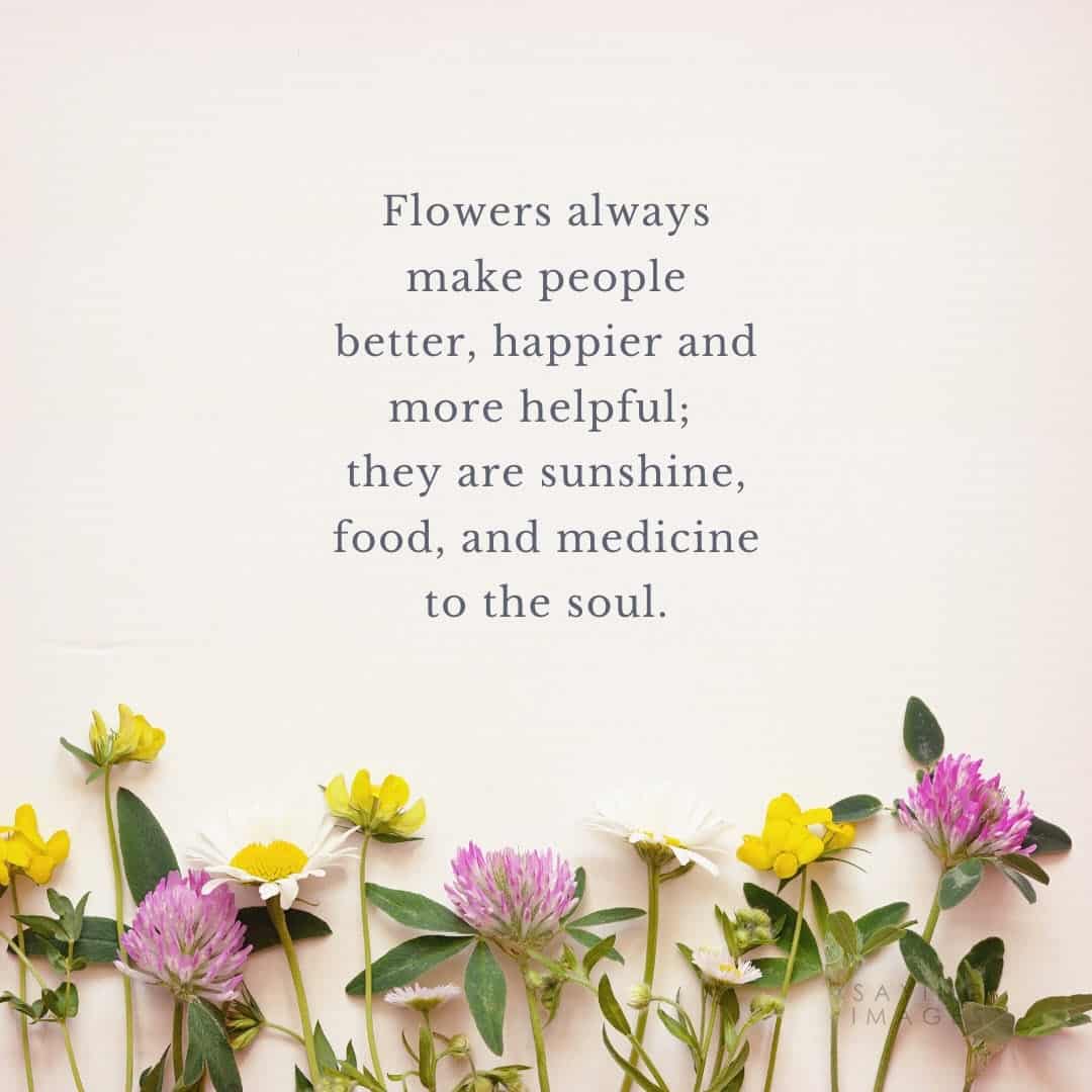 flower happier quotes