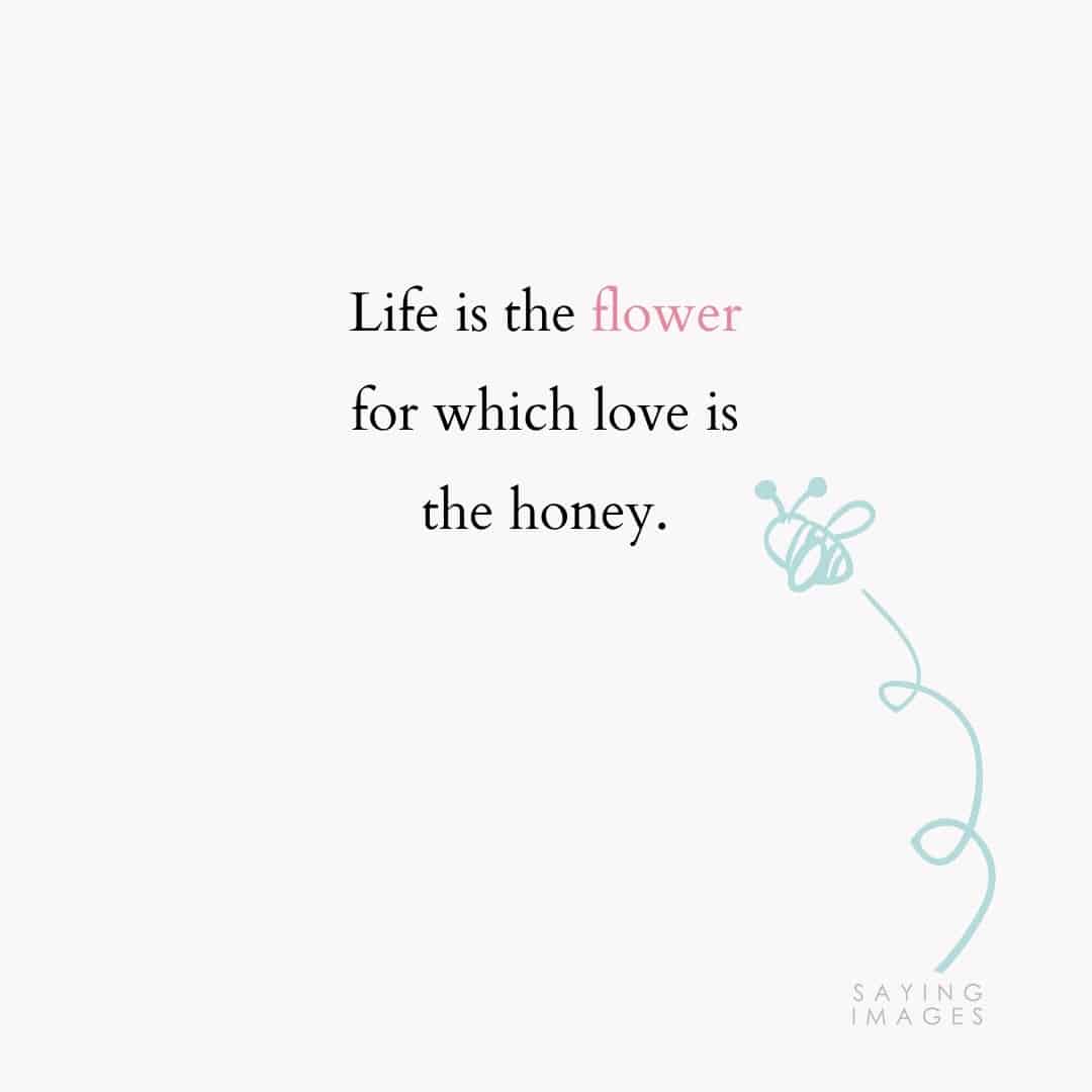 flower honey quotes