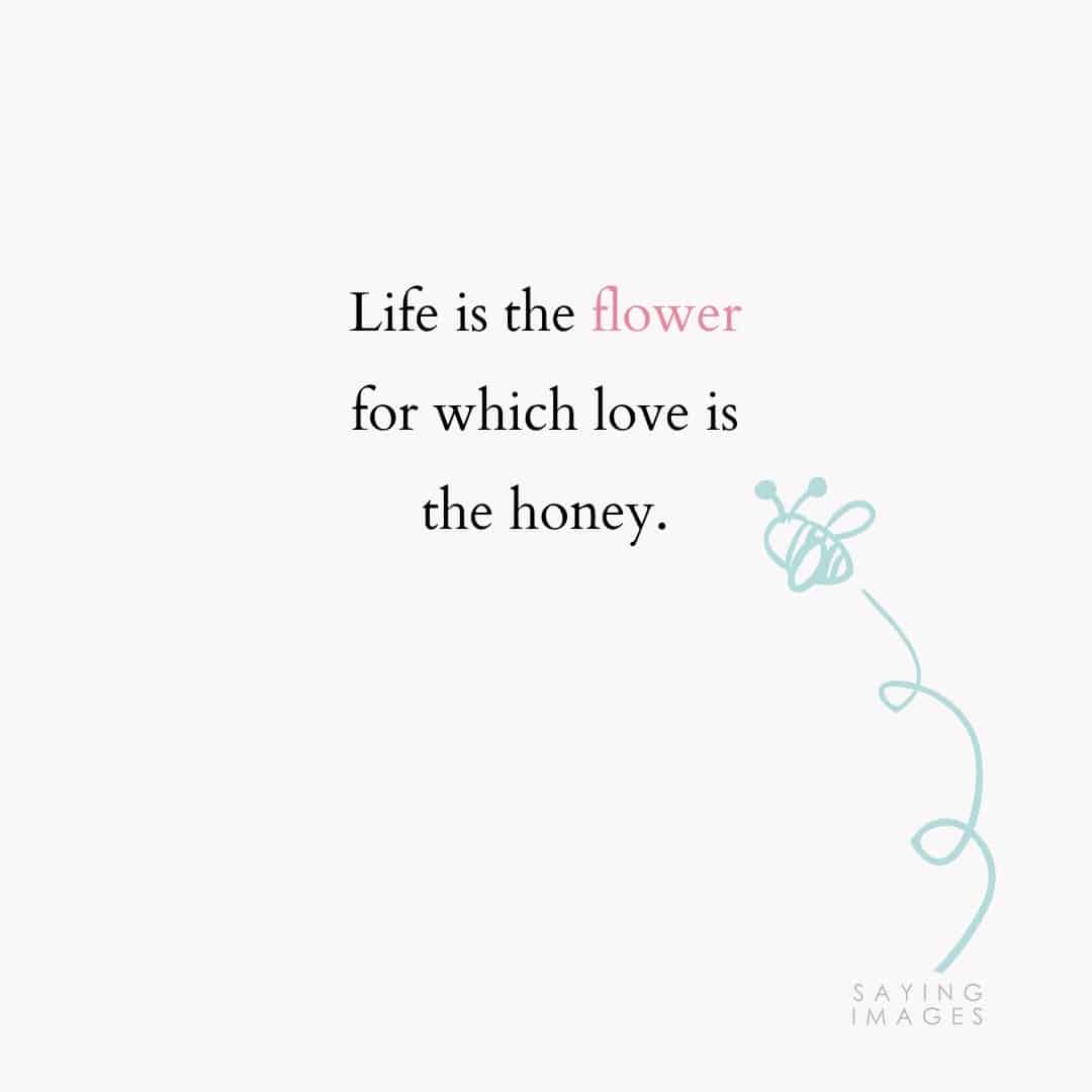 35 Beautiful Flower Quotes To Celebrate Life Hope And Love Sayingimages Com